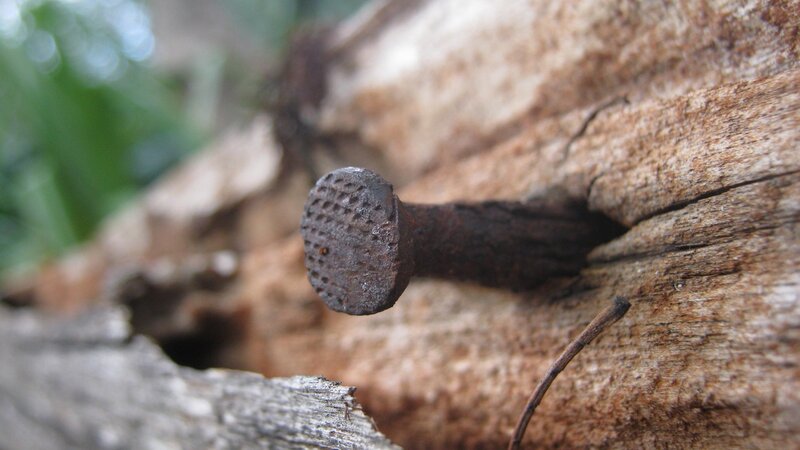 Rusty Nail in Wood