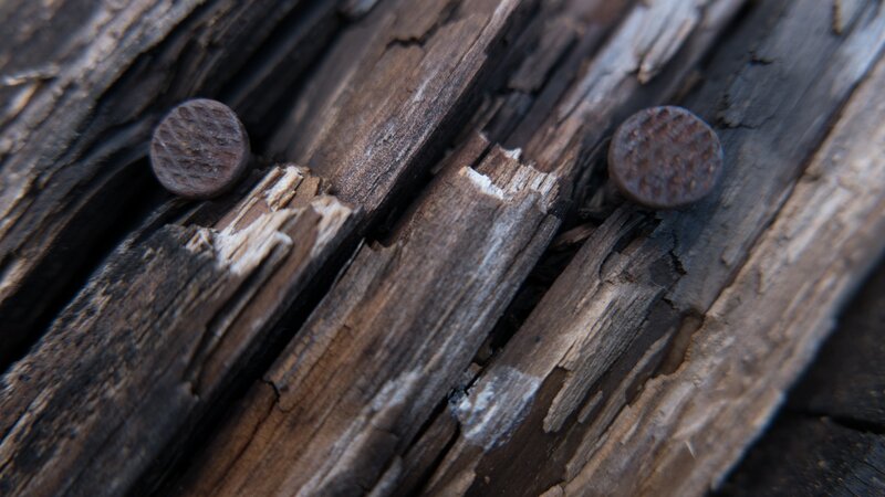 Rusty Nails in Wood — Brown