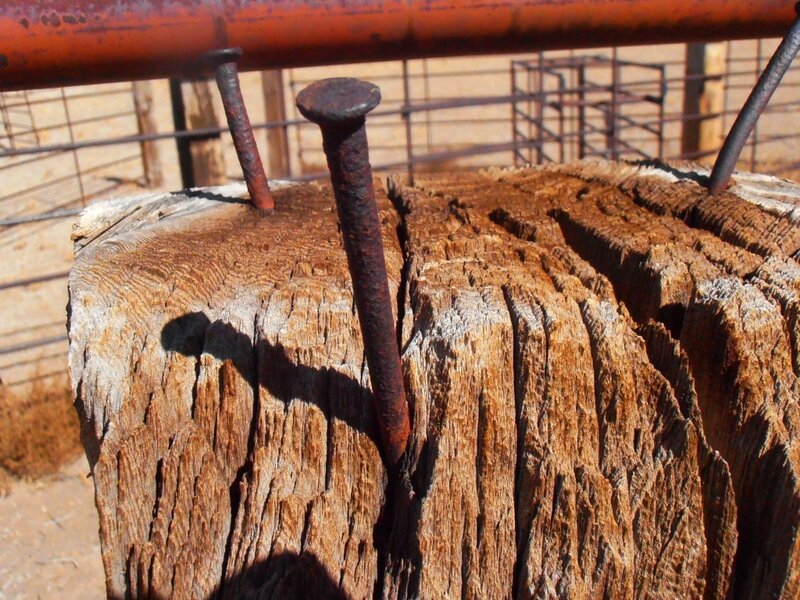 Rusty Nails in Wood