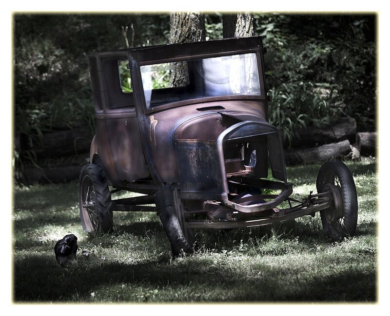 Rusty old car in the woods