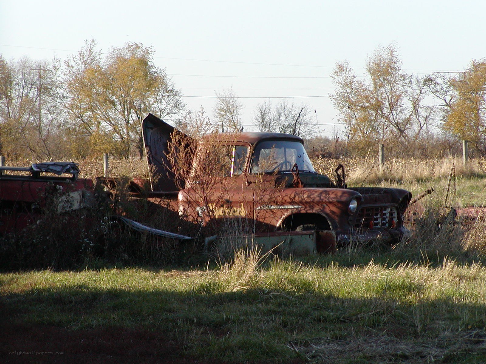 Rusty old truck in a field