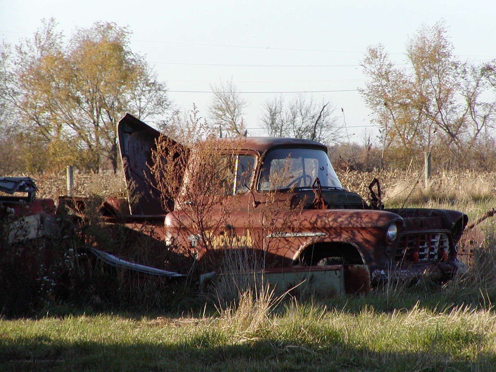 Rusty old truck in a field