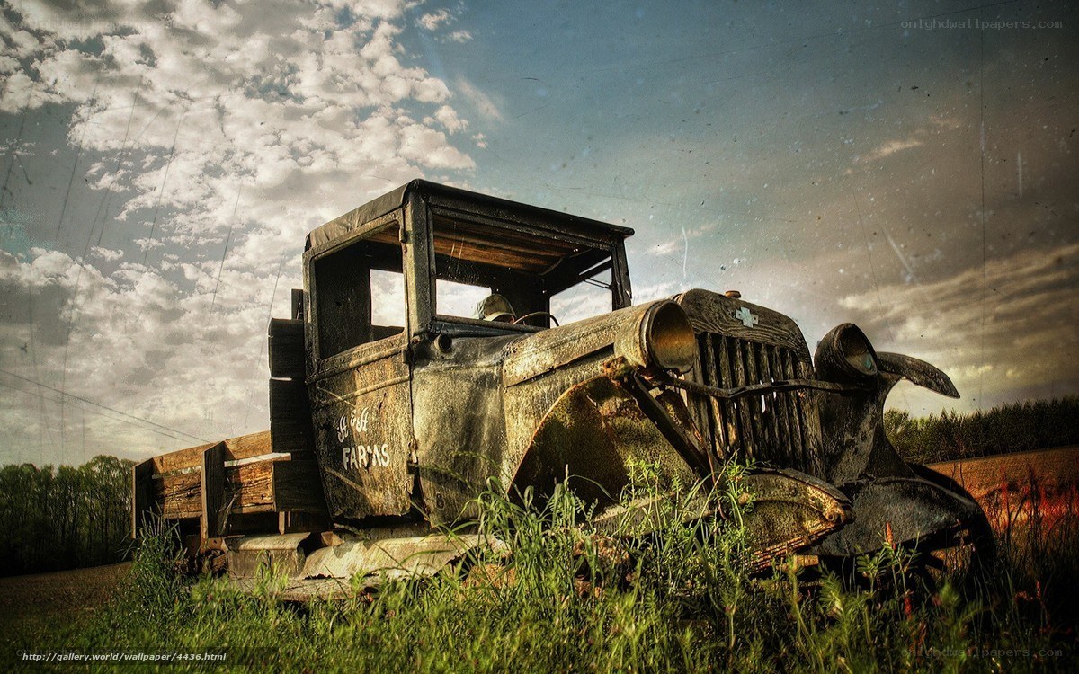 Rusty old truck in field