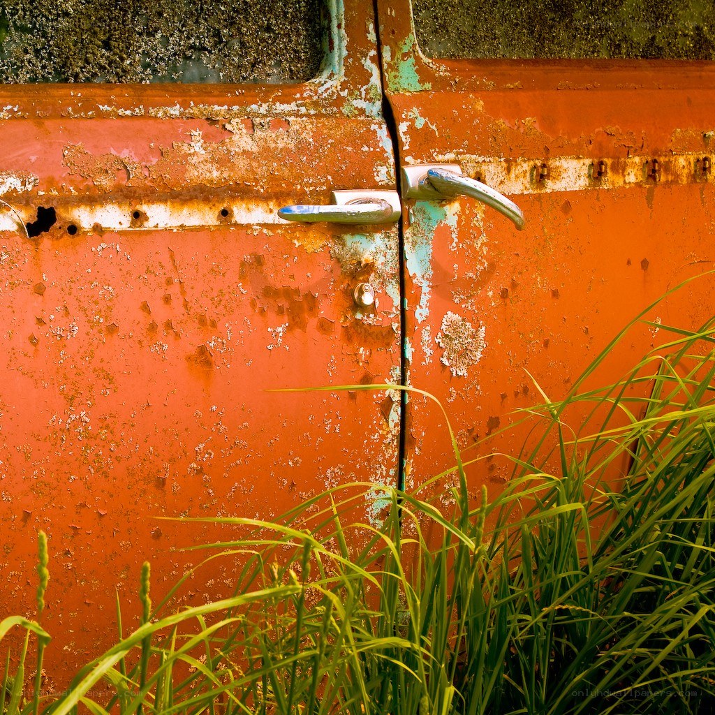 Rusty orange door with grass