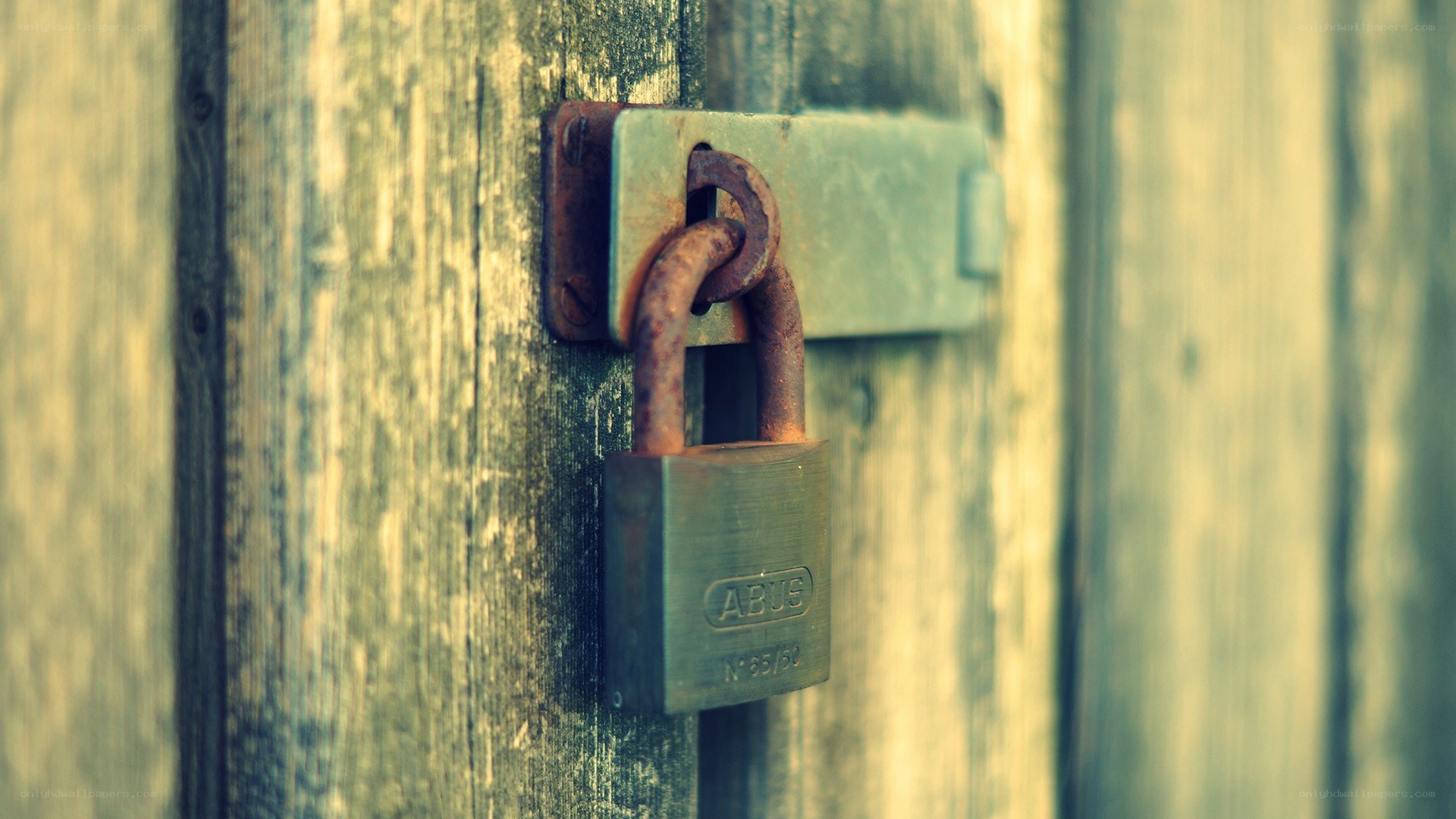 rusty padlock on wooden door