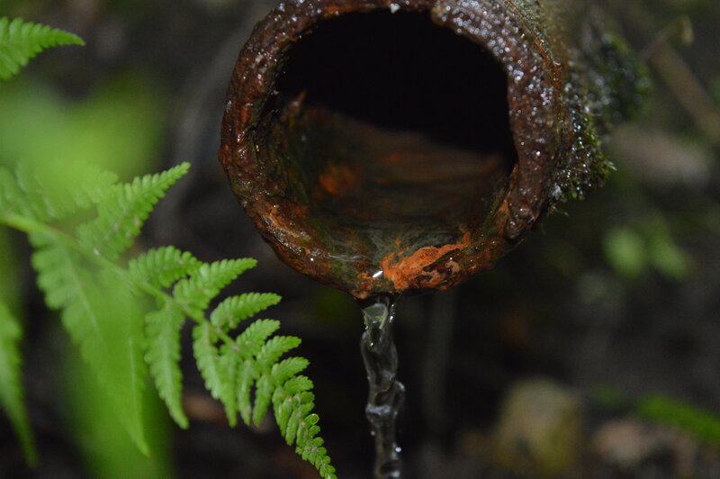 Rusty Pipe Dripping Water