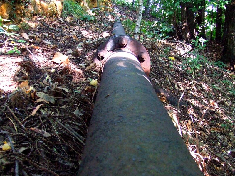 Rusty Pipe in Forest