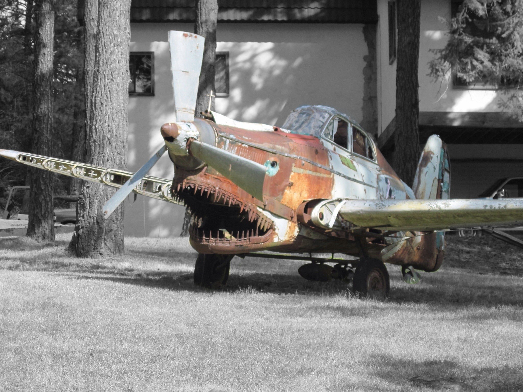 Rusty plane with shark mouth