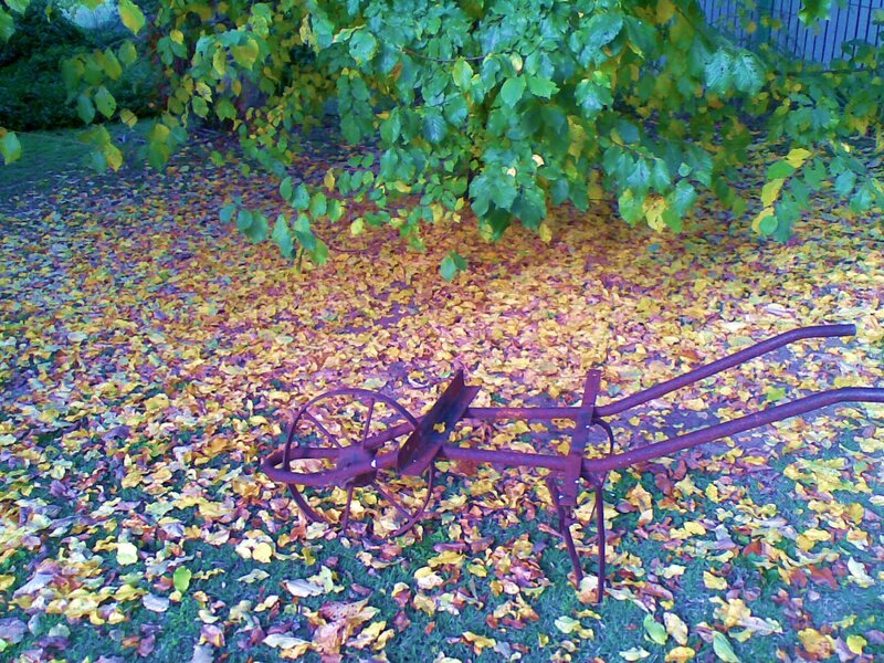 Rusty Plow in Leaves