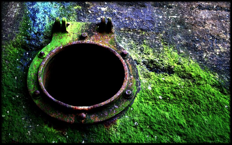 rusty porthole on mossy surface