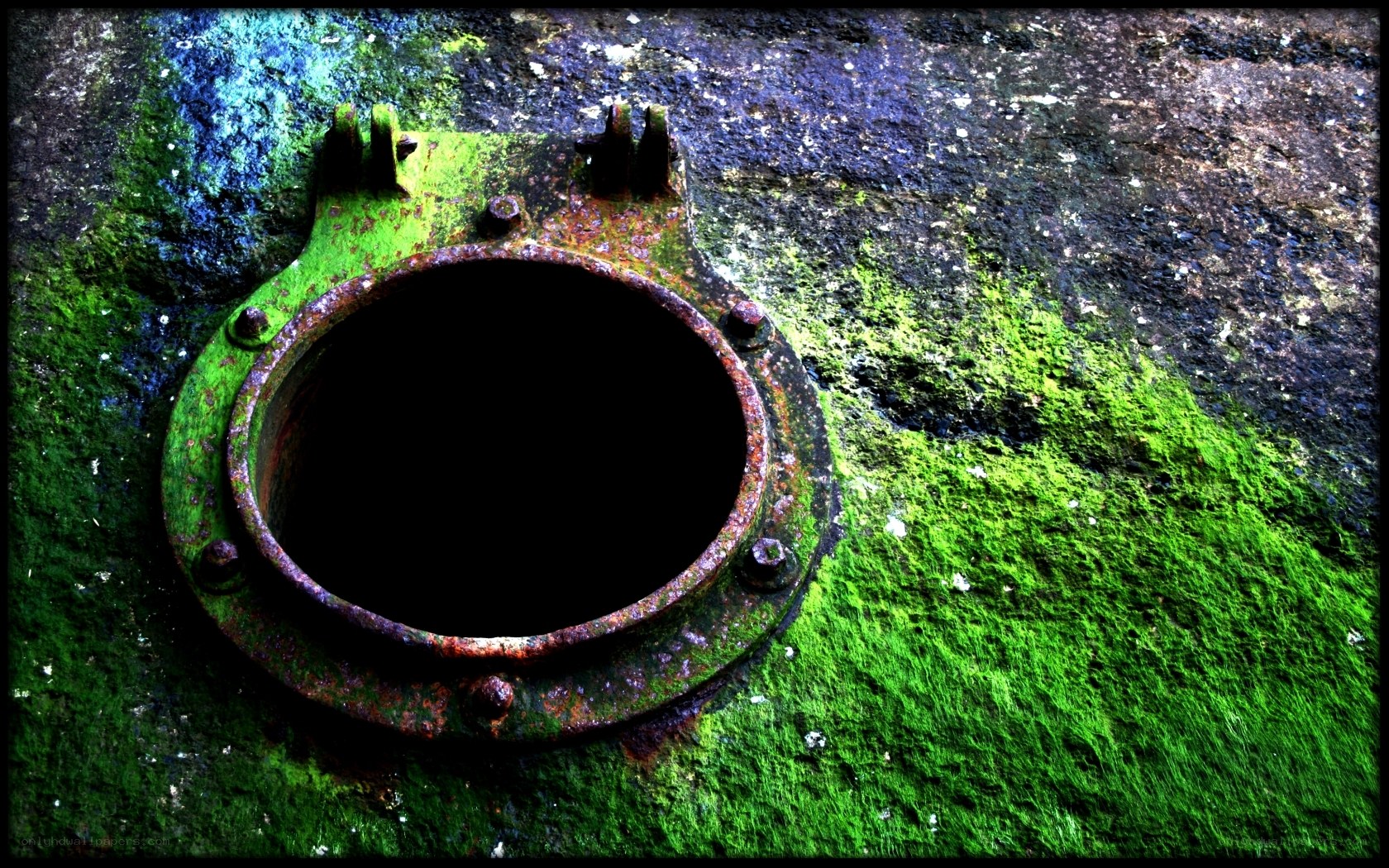 rusty porthole on mossy surface