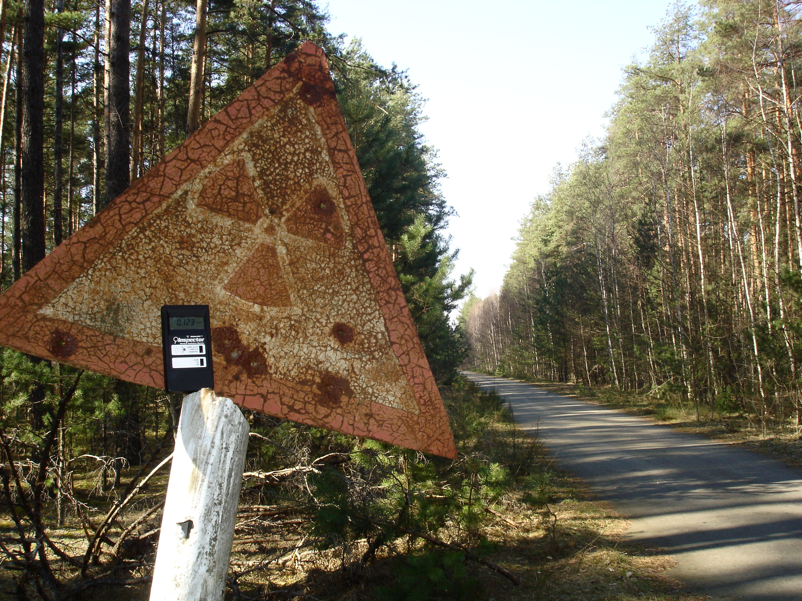 Rusty radiation sign in forest