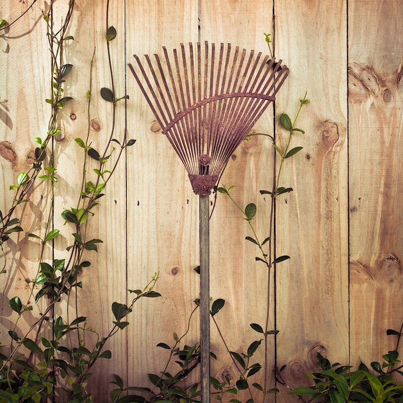 Rusty Rake Against Fence
