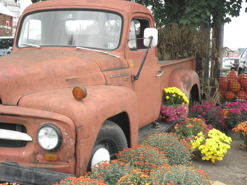 Rusty Red Pickup Truck — Rural, Autumn