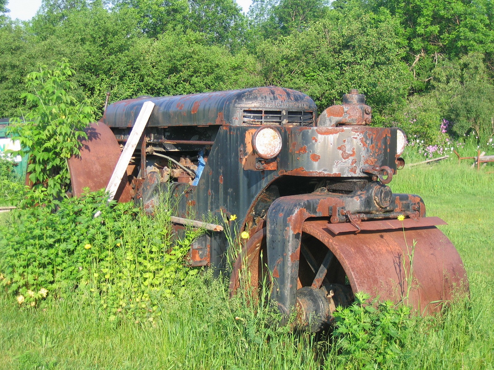 Rusty road roller in overgrown field
