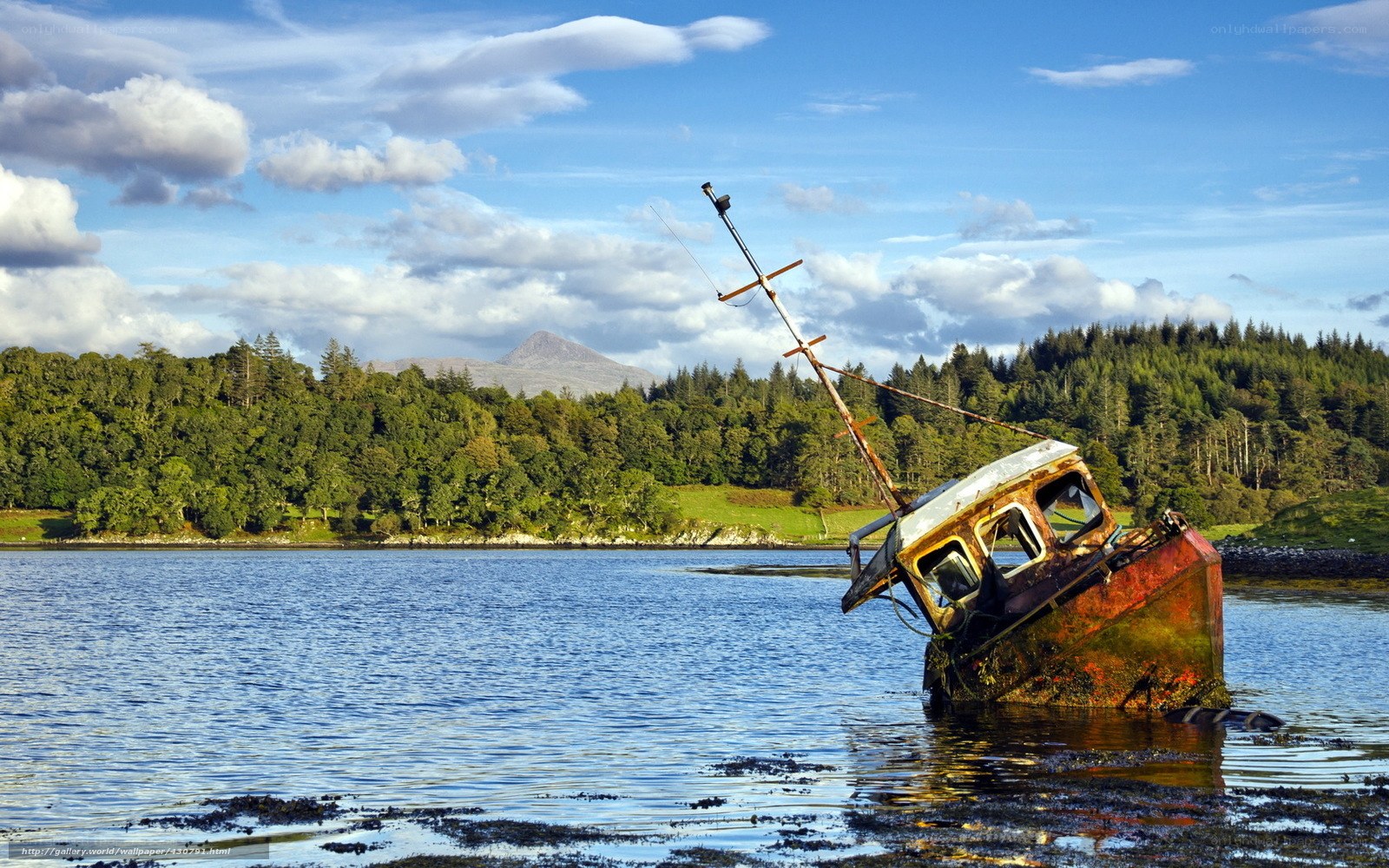 Rusty shipwreck in a calm bay