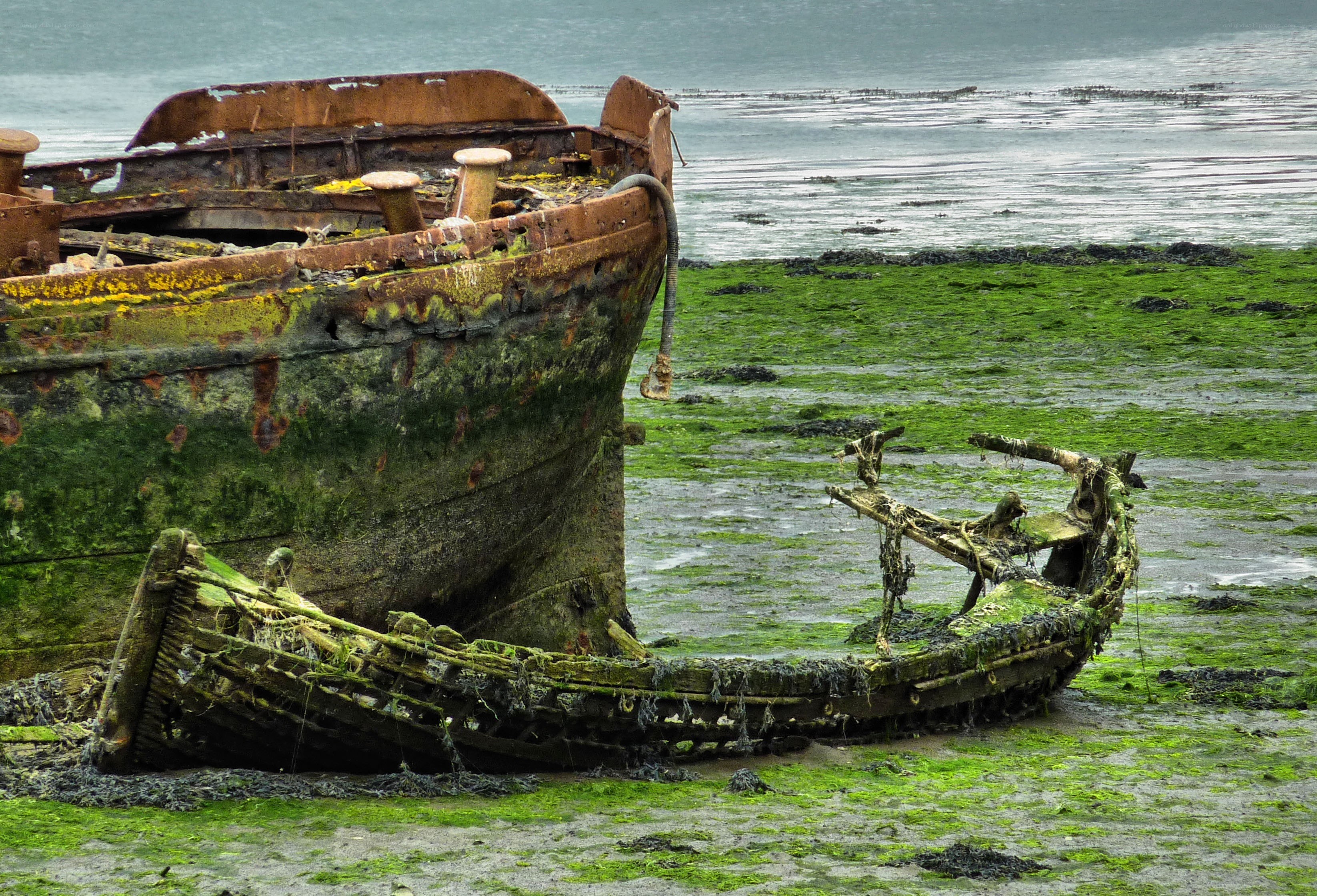 Rusty shipwreck on a mossy shore