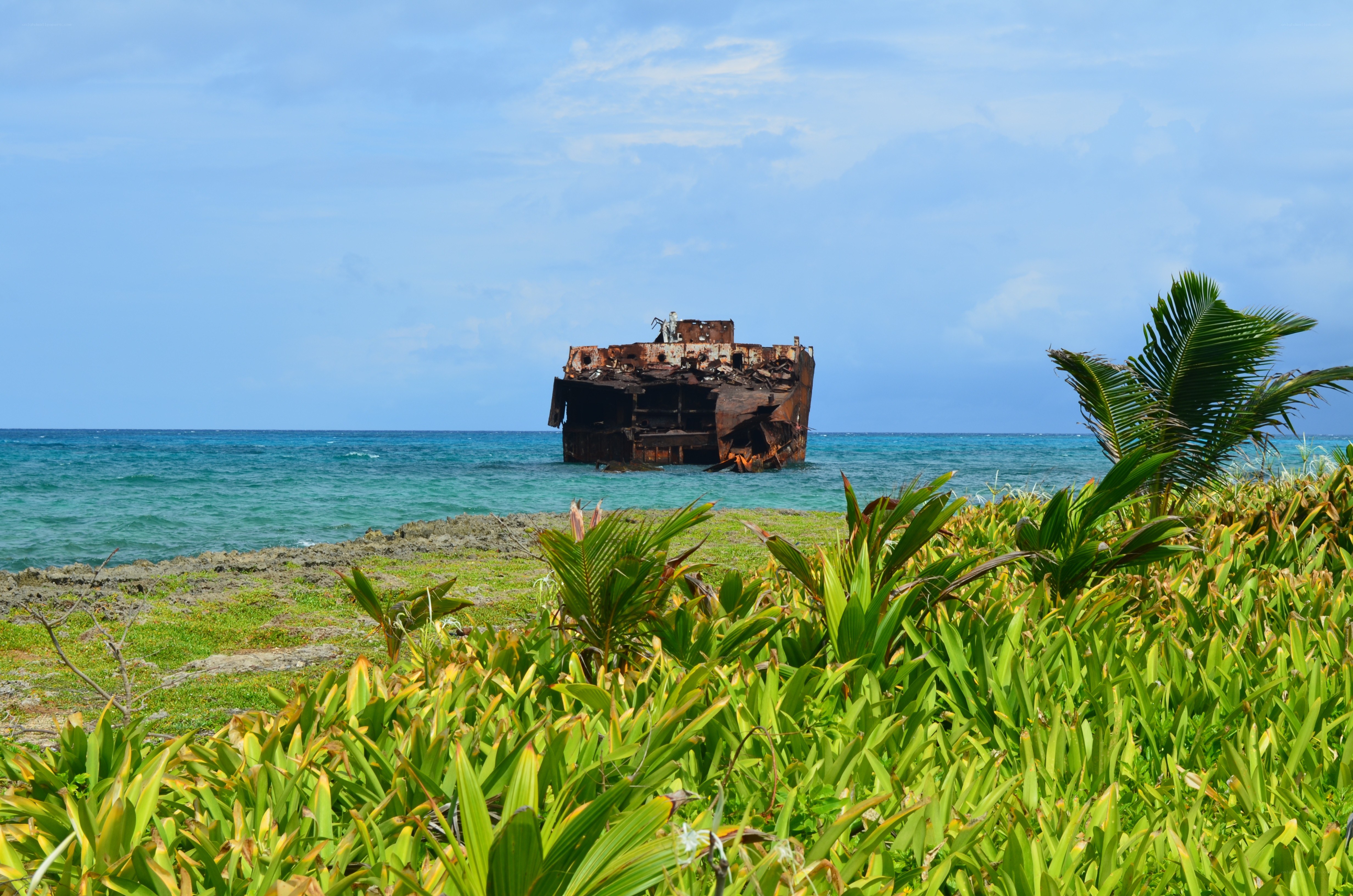 Rusty shipwreck on tropical shore