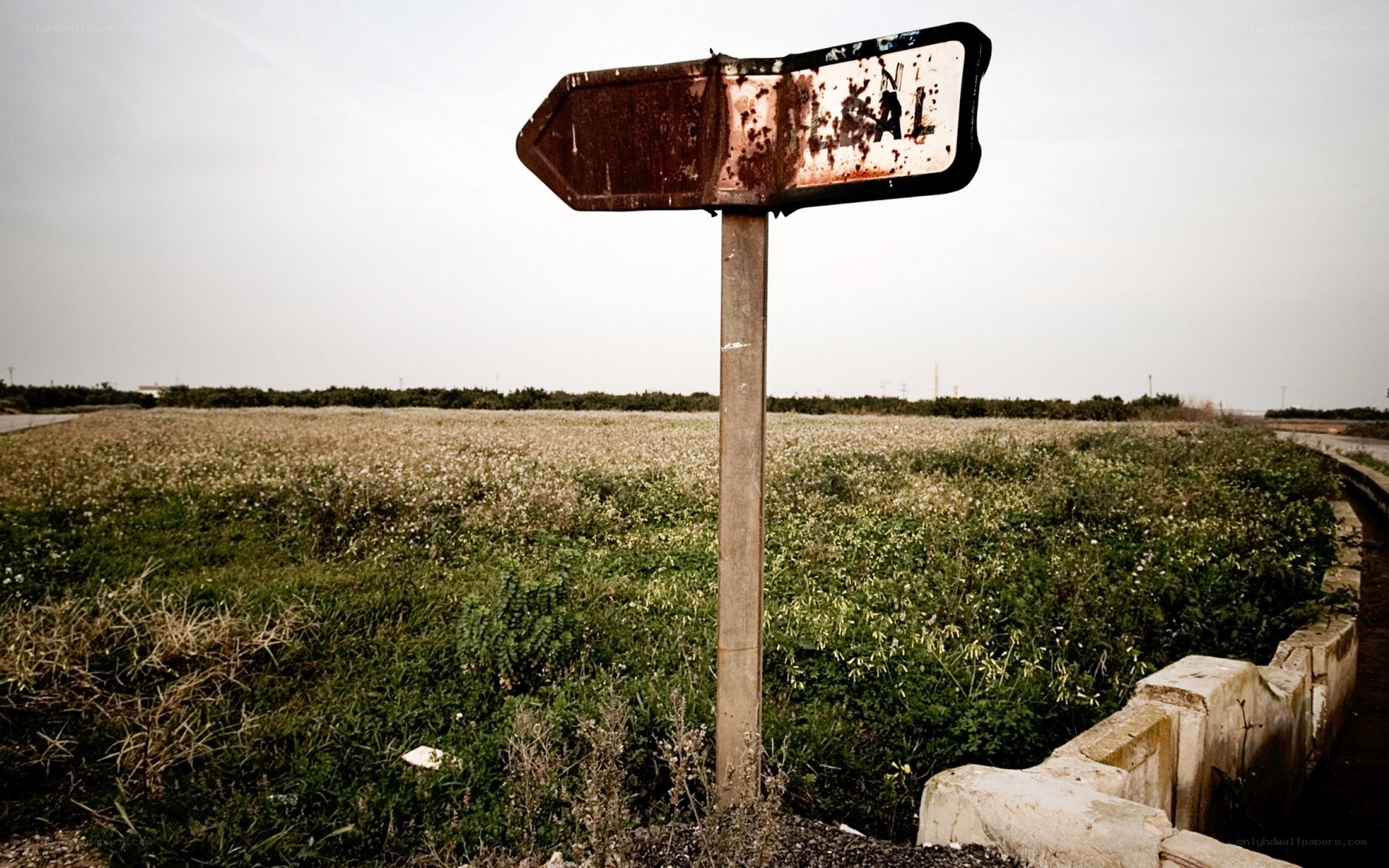 Rusty sign in a field