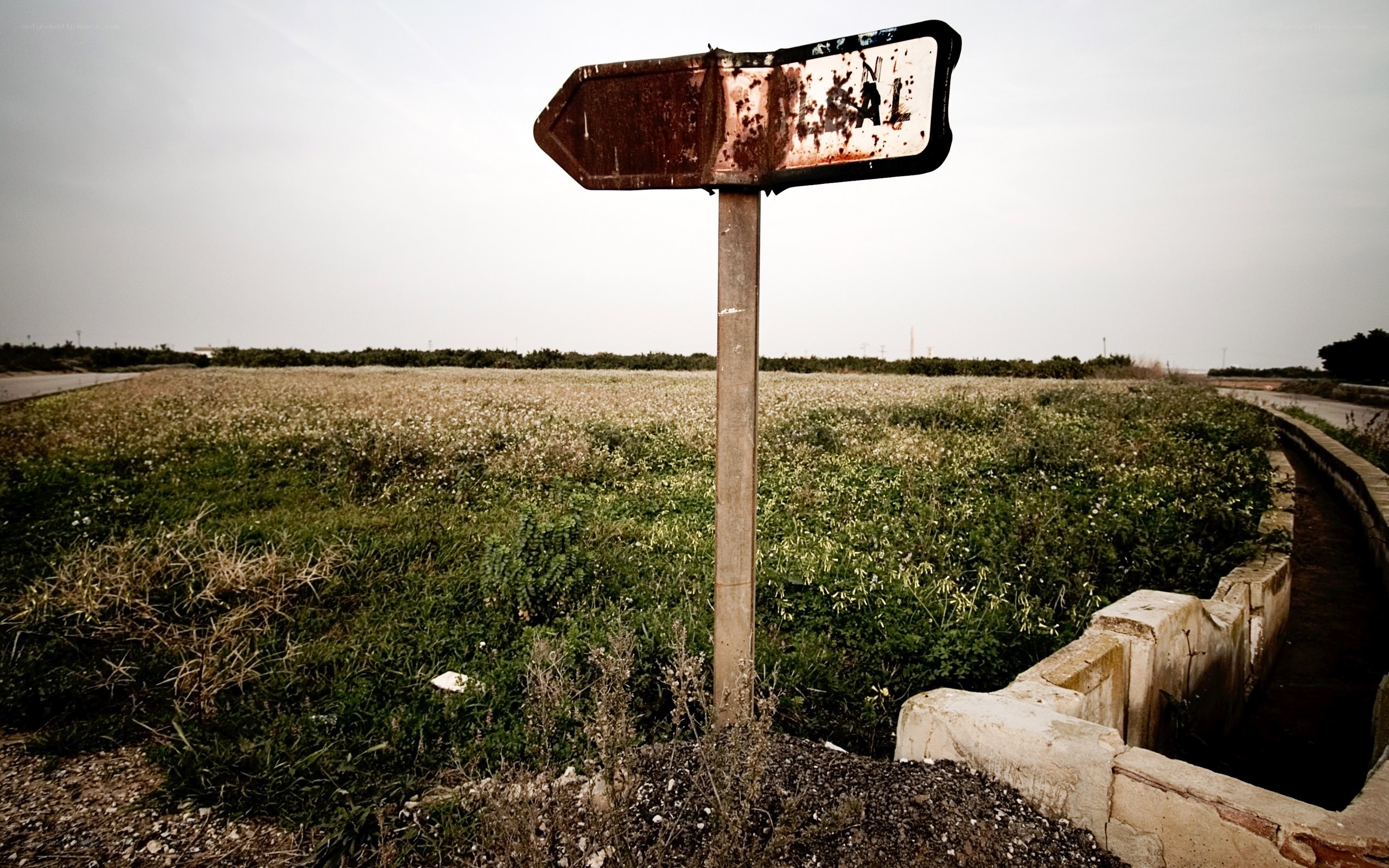 Rusty sign in a field