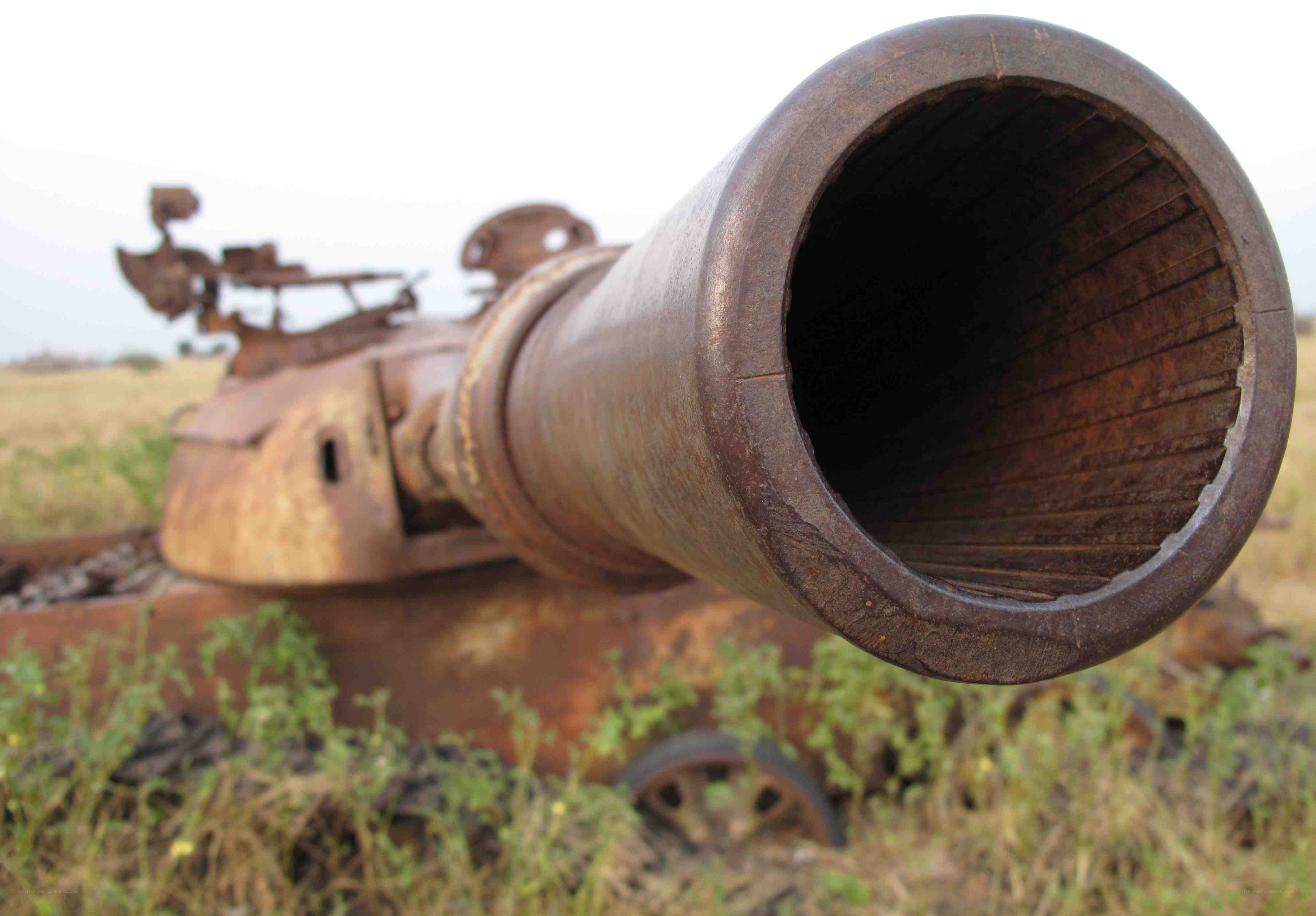 Rusty tank cannon in field
