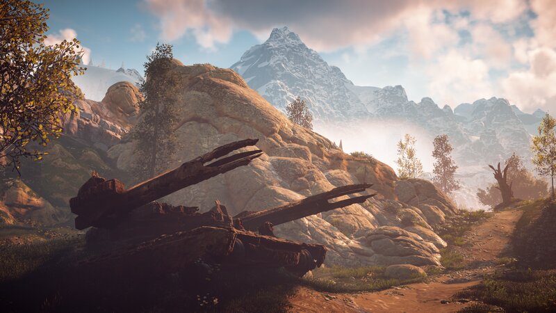 Rusty Tank Wreckage