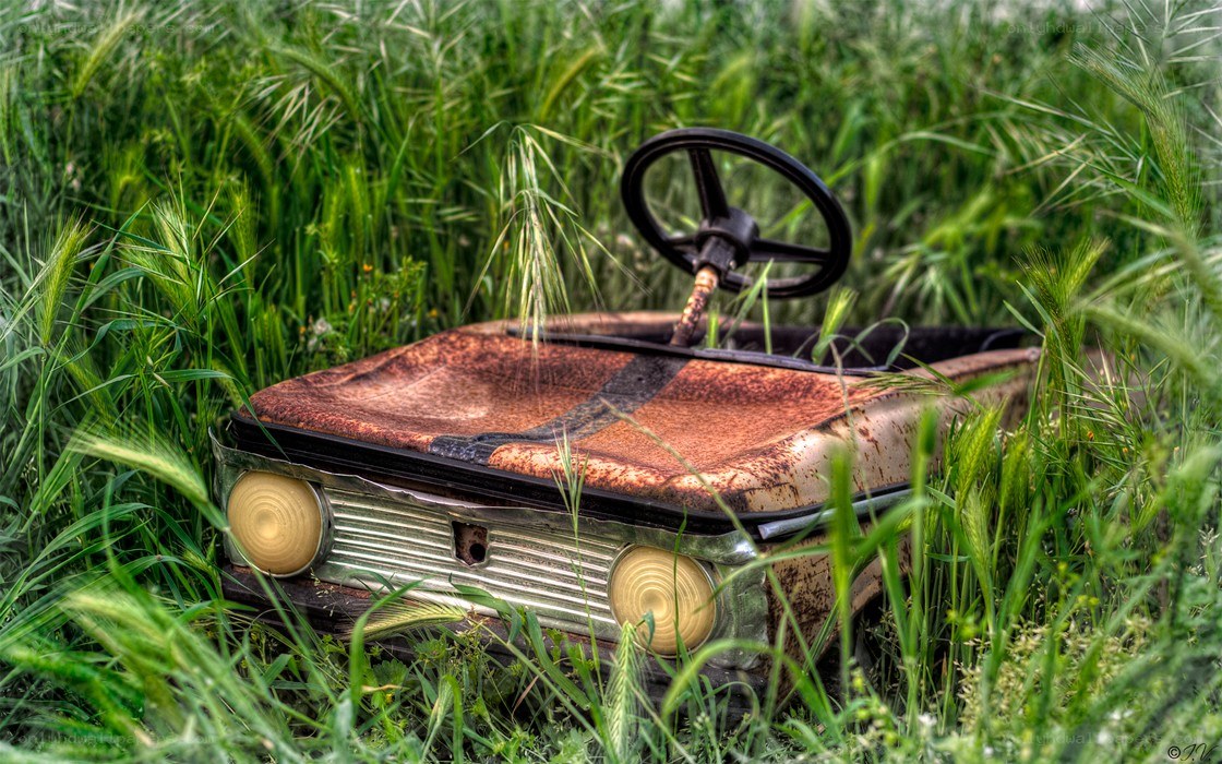 Rusty toy car in tall grass