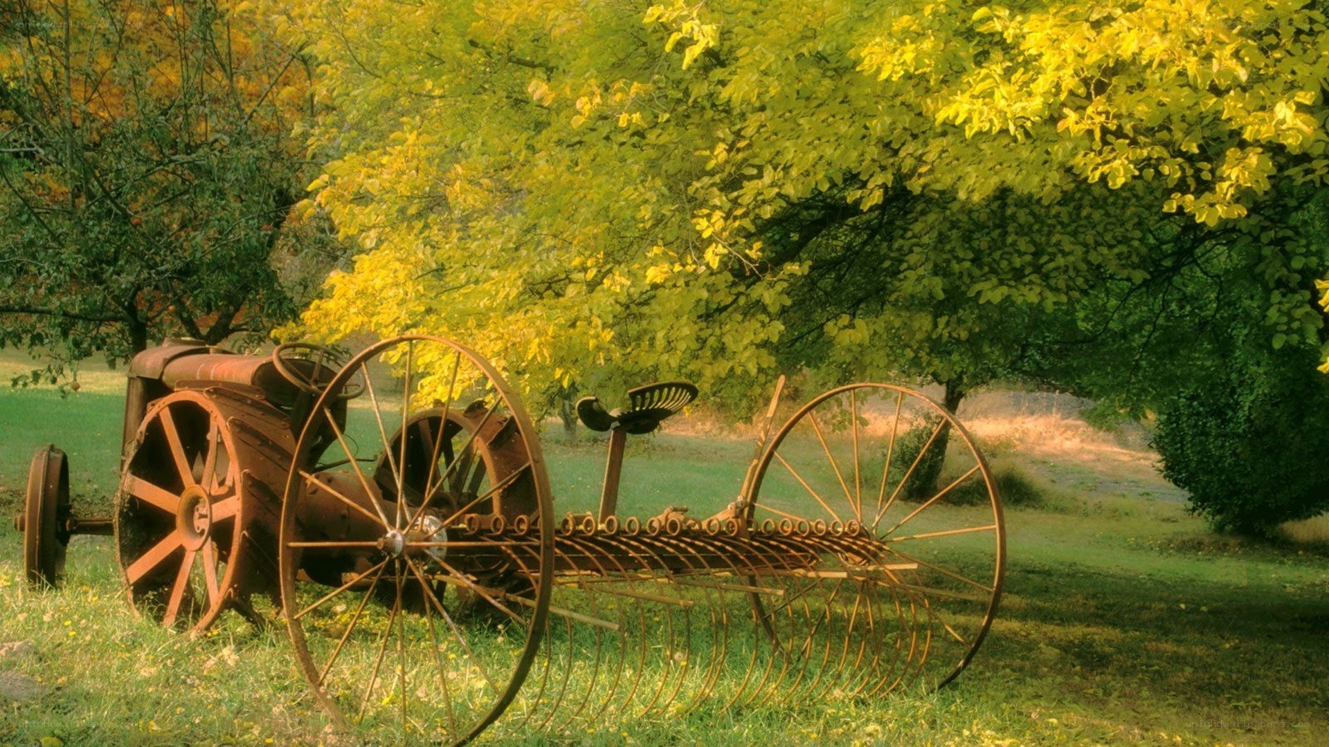 Rusty tractor in autumn field