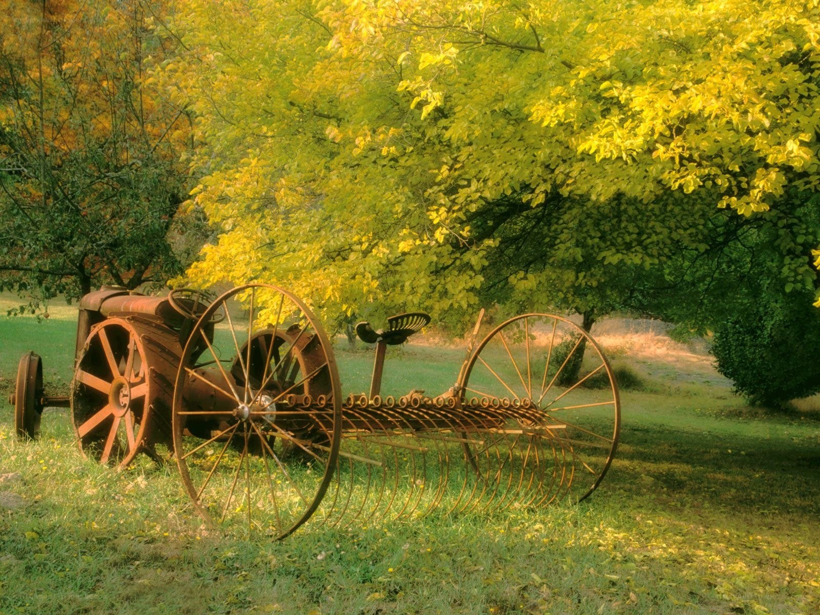 Rusty tractor in autumn field