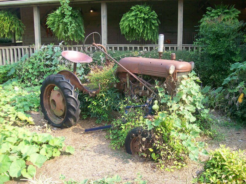 Rusty Tractor in Garden