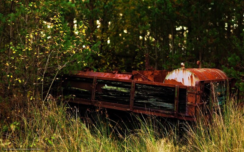 Rusty trailer in forest