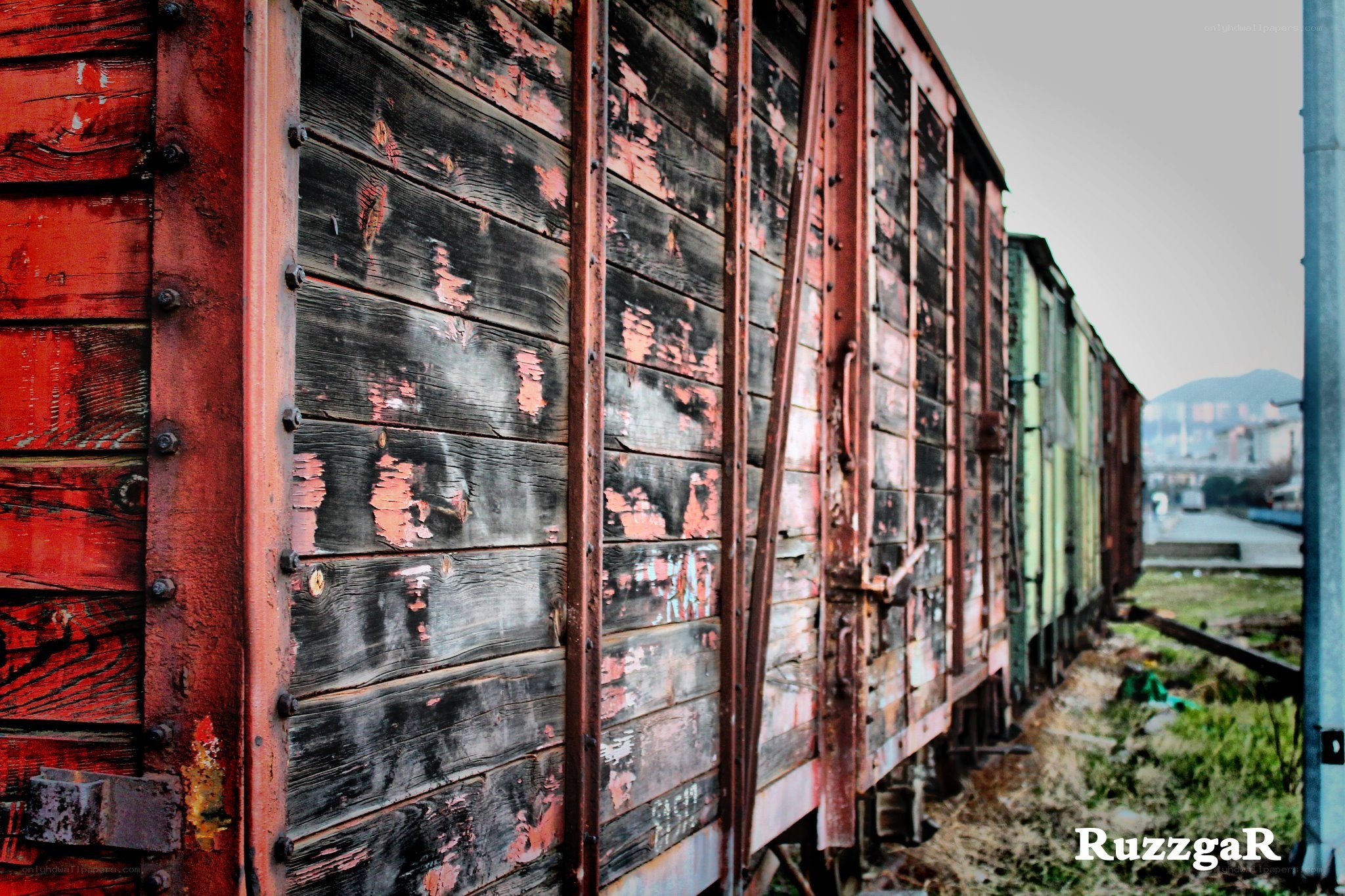 Rusty train cars in a yard