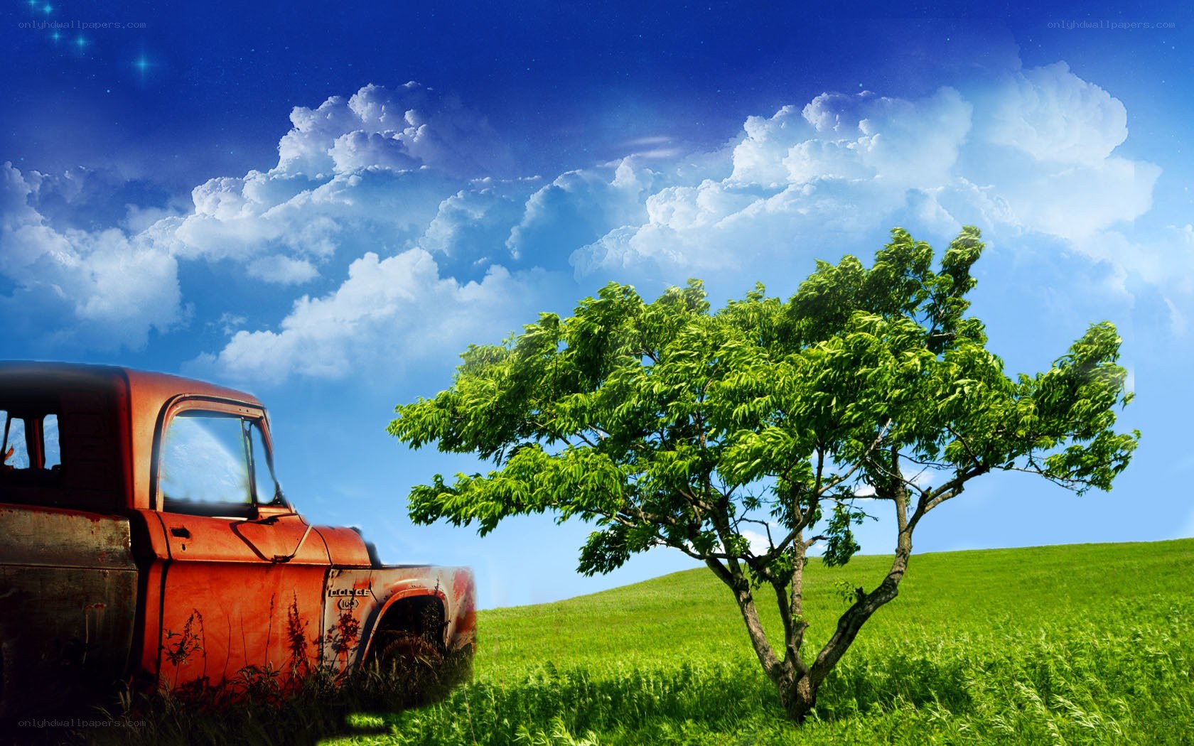 Rusty truck and green tree