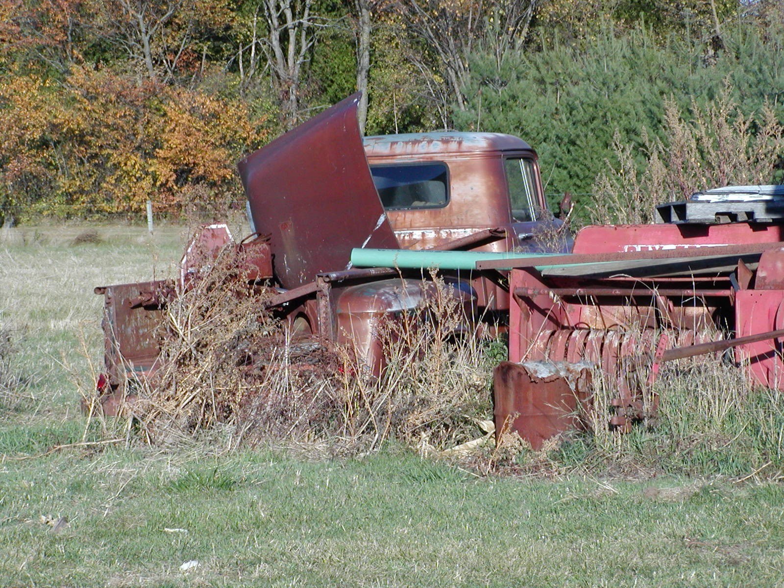 Rusty truck in a field
