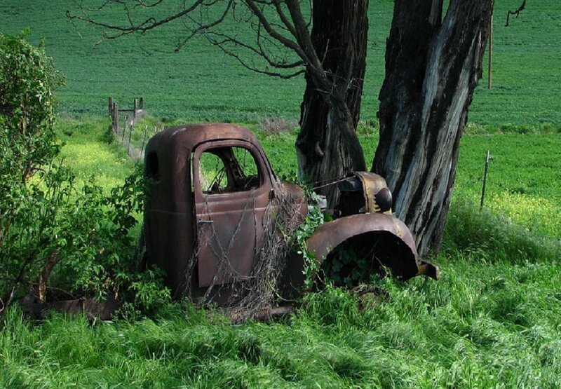 Rusty Truck in Field