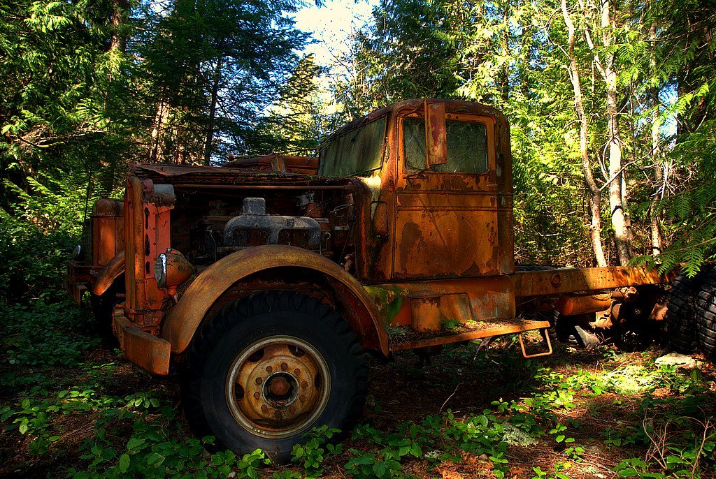 Rusty truck in forest