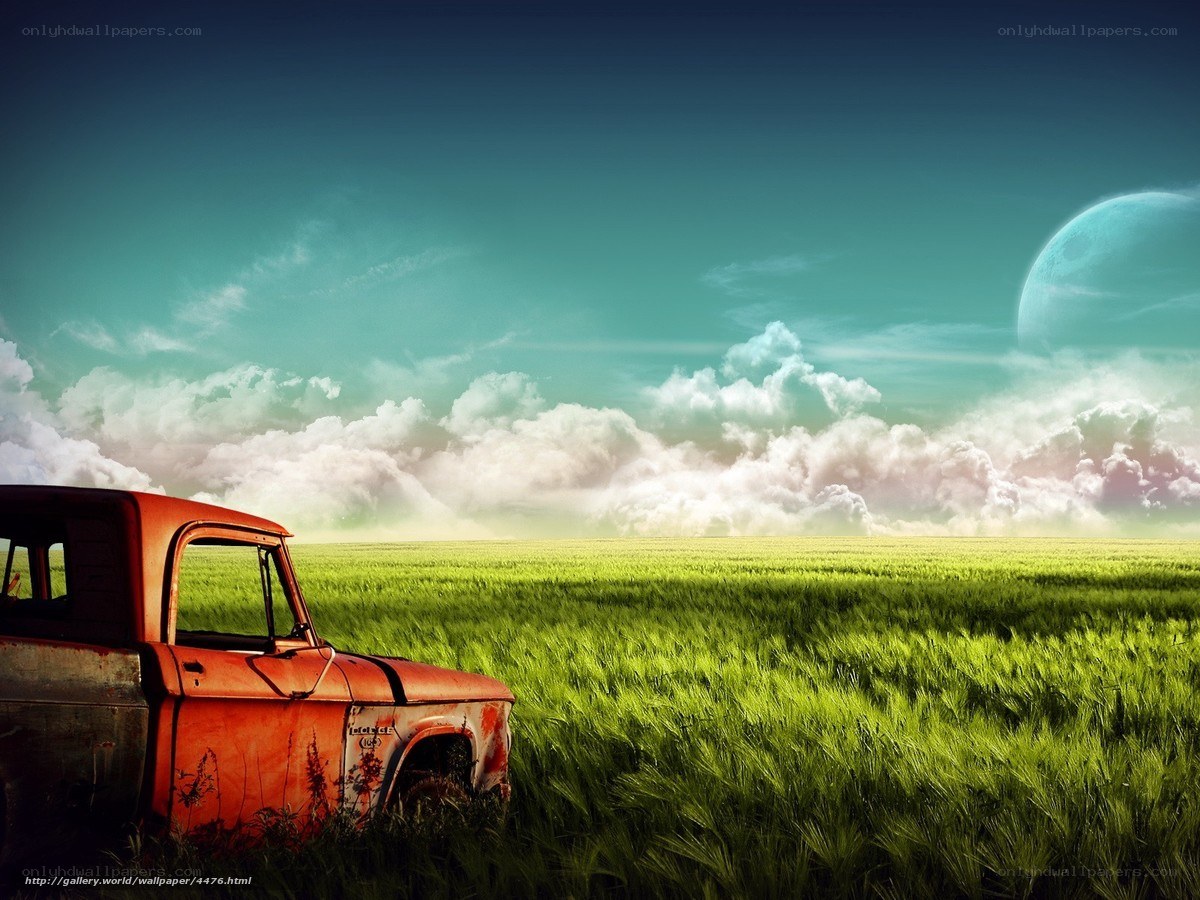 Rusty truck in green field