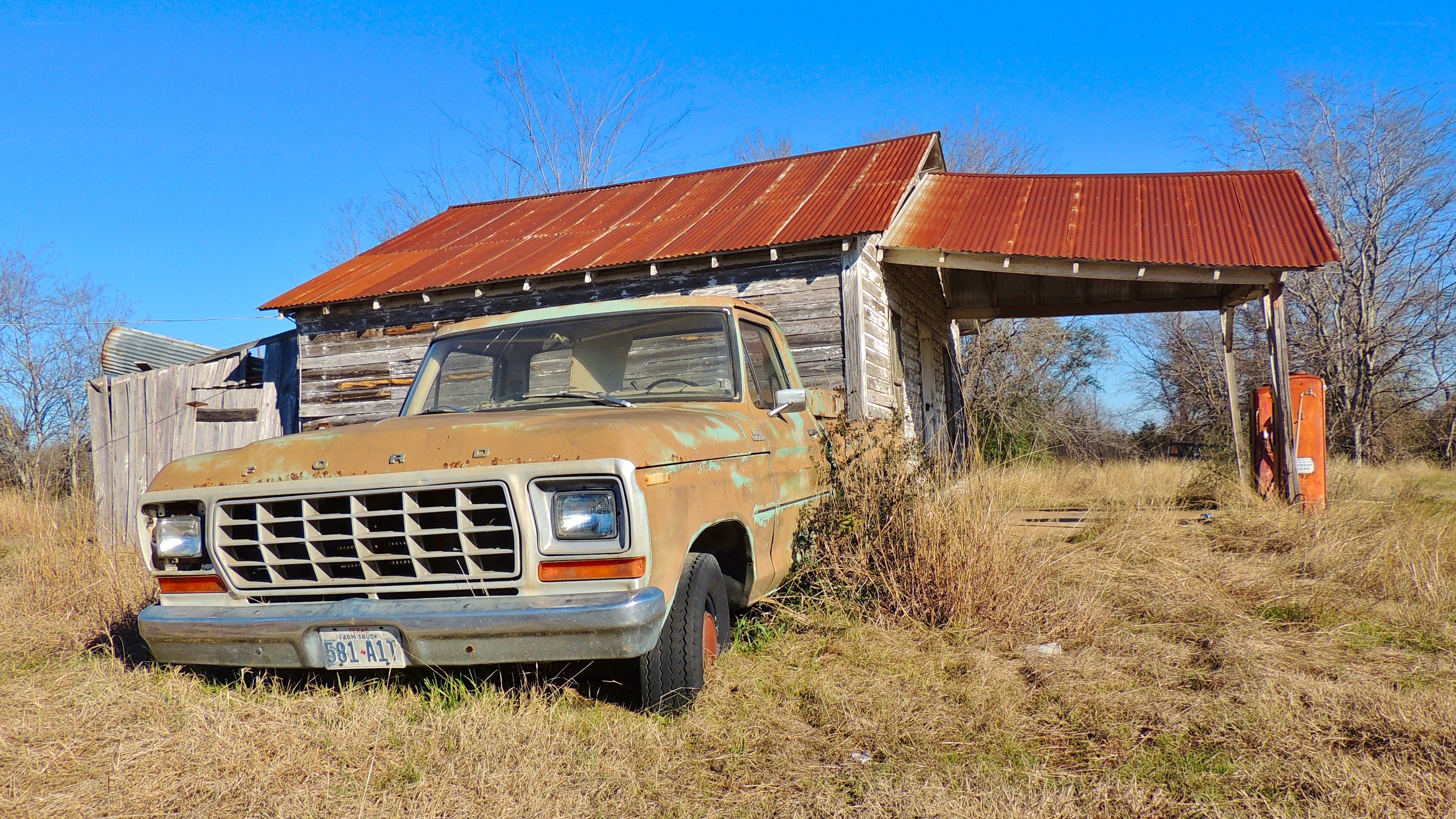 Rusty truck in overgrown yard