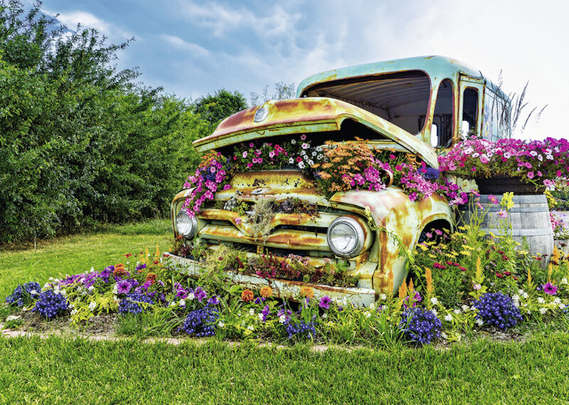 Rusty Truck with Flowers