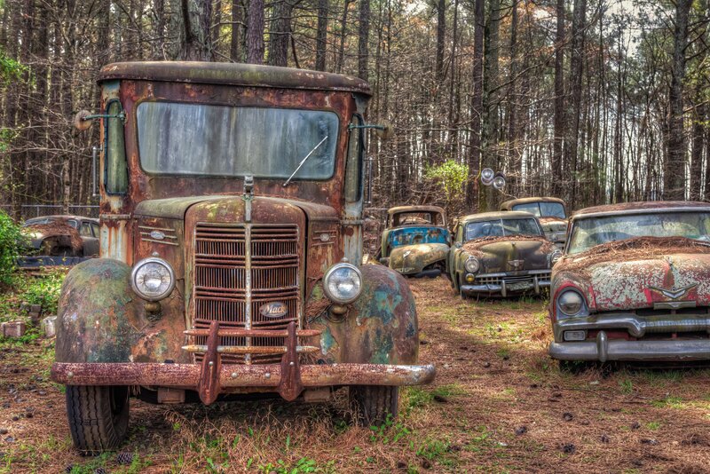 Rusty Trucks in Forest