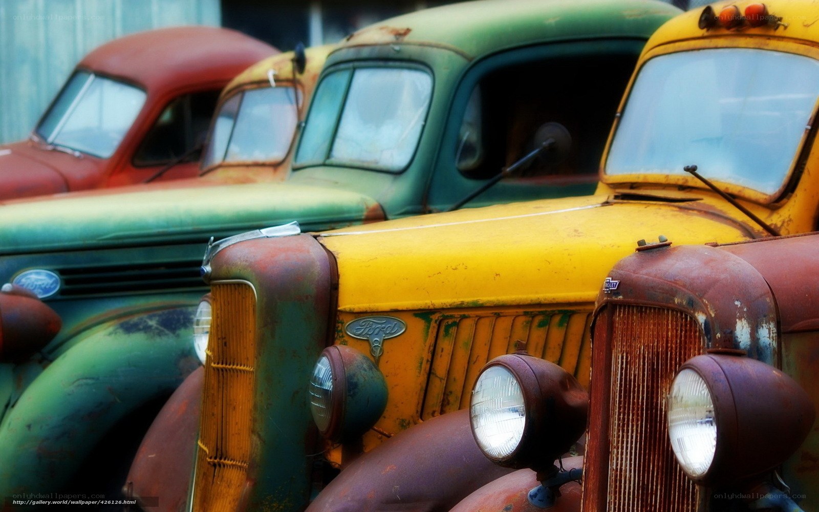 Rusty vintage trucks in a row