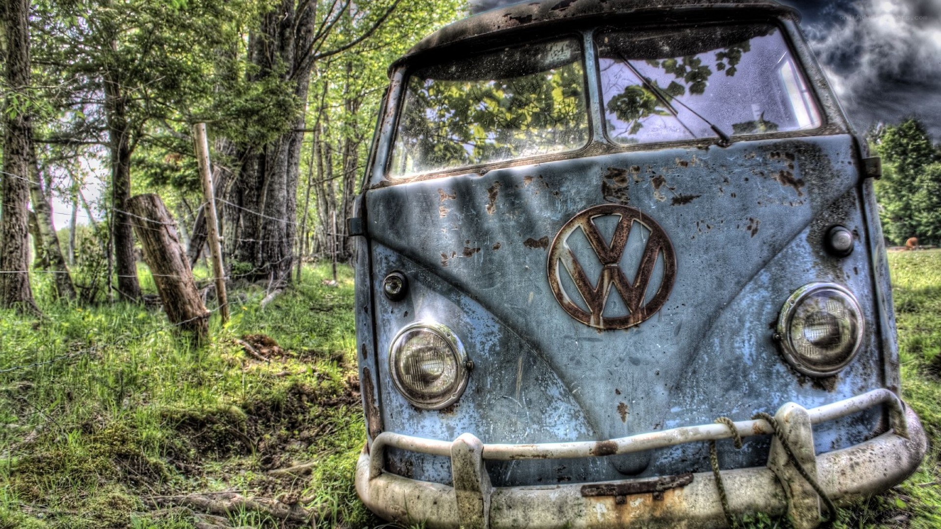 Rusty VW Bus in the Woods