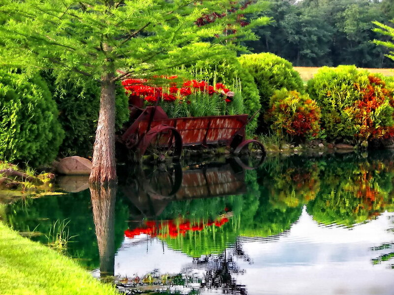 Rusty Wagon in Pond — Green