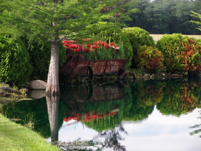 Rusty Wagon in Pond