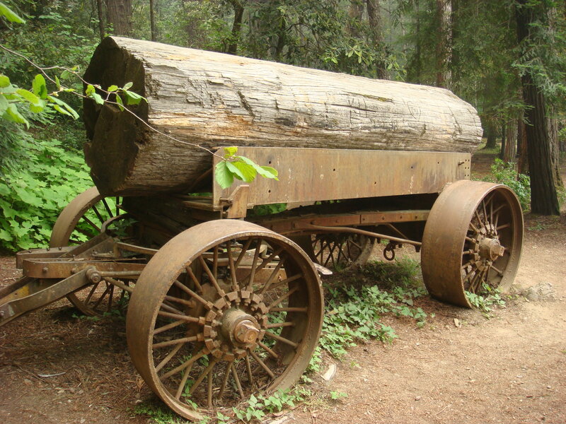Rusty wagon with log in forest