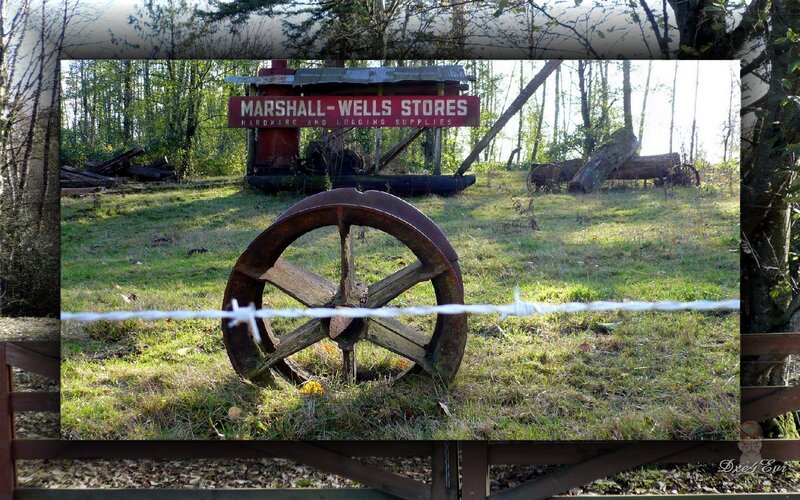 Rusty Wheel in Field