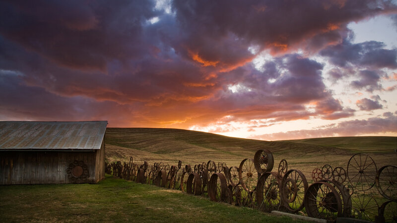 Rusty Wheels on Hillside