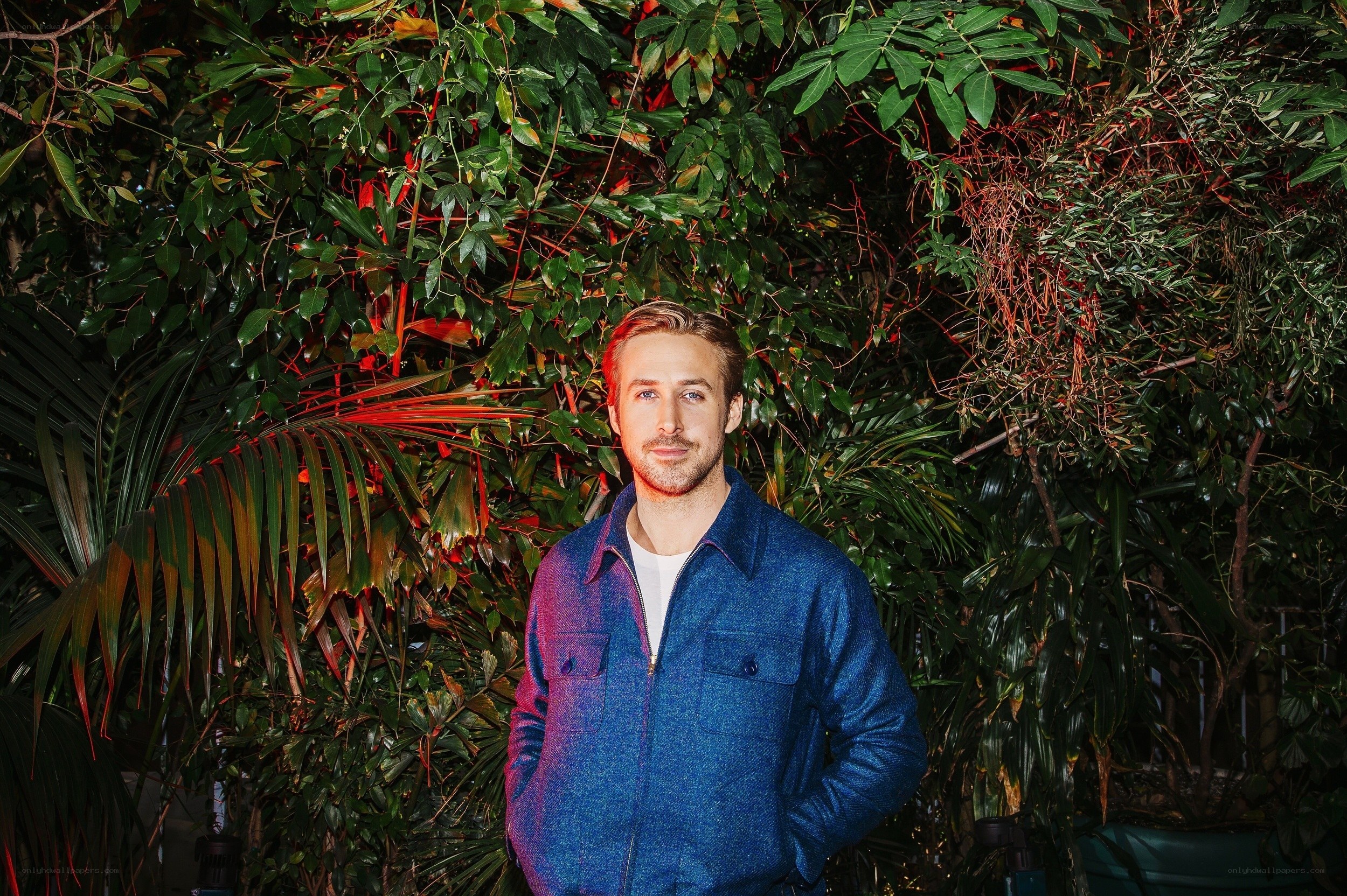 Ryan Gosling in blue jacket