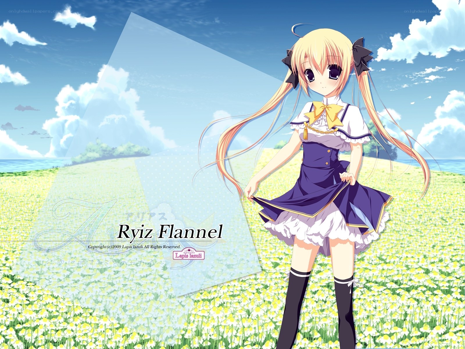 Ryiz Flannel in a flower field