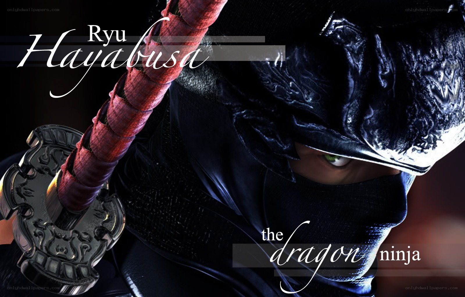 Ryu Hayabusa the Dragon Ninja